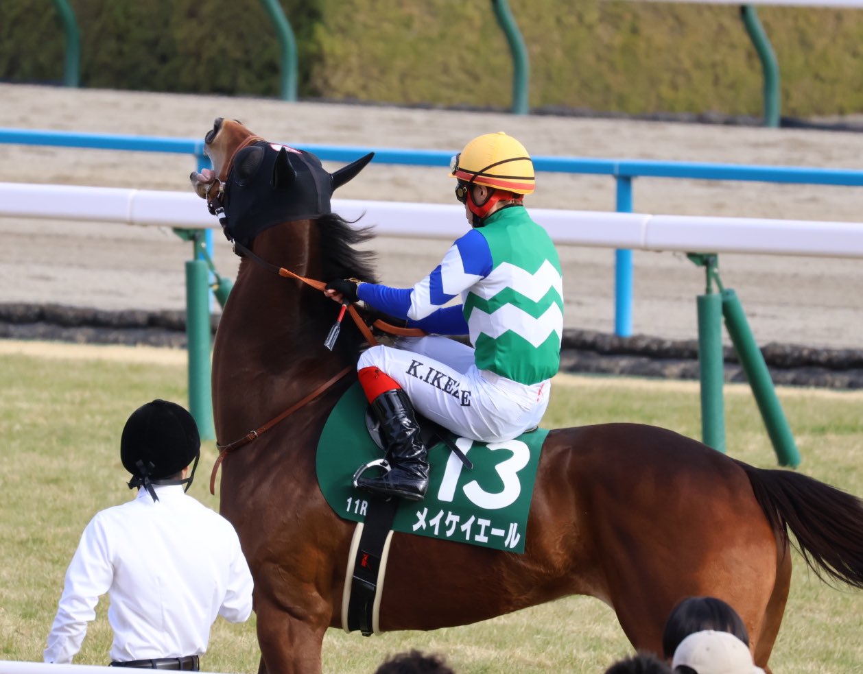 新規ファン必見】ついに引退発表。ラストラン高松宮記念までに購入す ...